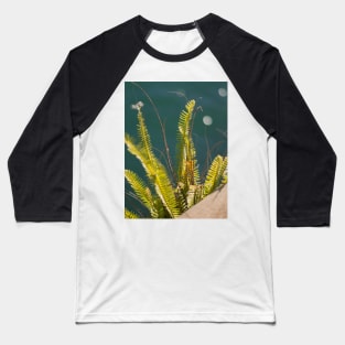 Bracken on the Harbour Baseball T-Shirt